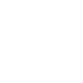 expertise