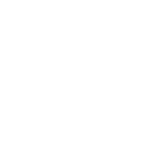 engagement