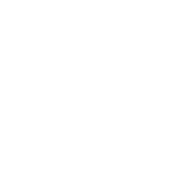 Intgrit